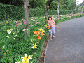 img_0015_thumb.jpg
