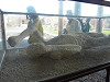 p1010133_thumb.jpg