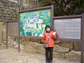 P1030113_thumb.jpg