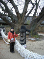 P1030129_thumb.jpg