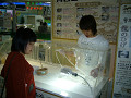 P1030169_thumb.jpg