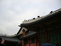 P1030249_thumb.jpg