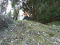 P1010246_thumb.jpg