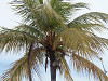 p9300072_thumb.jpg
