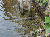 p9300098_thumb.jpg