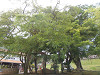 p9300106_thumb.jpg