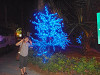 p9300178_thumb.jpg