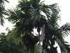 pa010214_thumb.jpg
