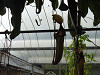 pa020304_thumb.jpg