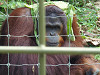 pa020336_thumb.jpg