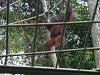 pa020339_thumb.jpg
