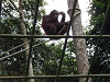 pa020341_thumb.jpg