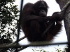 pa020343_thumb.jpg
