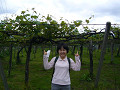 P1070146_thumb.jpg