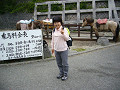 P1040152_thumb.jpg