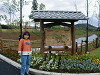 04260002_thumb.jpg