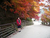 imgp0279_thumb.jpg