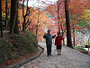 imgp0281_thumb.jpg