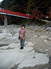 11200005_thumb.jpg