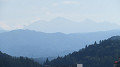 img_0304_thumb.jpg