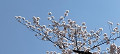 img20240407133553_thumb.jpg