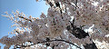 img20240407134719_thumb.jpg