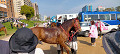 img20240407150450_thumb.jpg
