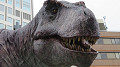 img_0032_thumb.jpg