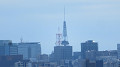 img_0279_thumb.jpg