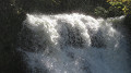 img_0488_thumb.jpg