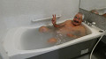 pana0276_thumb.jpg