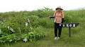 pana0328_thumb.jpg
