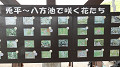 pana0335_thumb.jpg
