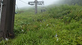 pana0339_thumb.jpg