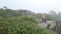 pana0374_thumb.jpg