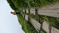 pana0385_thumb.jpg