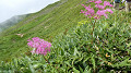 pana0391_thumb.jpg