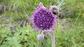 pana0454_thumb.jpg