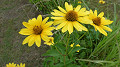 pana0515_thumb.jpg