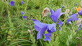 pana0520_thumb.jpg
