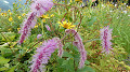 pana0522_thumb.jpg