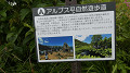 pana0555_thumb.jpg