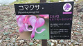 pana0571_thumb.jpg