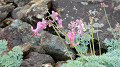 pana0572_thumb.jpg