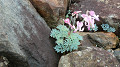 pana0574_thumb.jpg