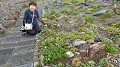 pana0579_thumb.jpg