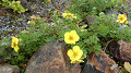 pana0580_thumb.jpg