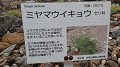 pana0597_thumb.jpg