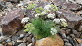 pana0599_thumb.jpg