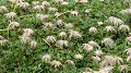 pana0604_thumb.jpg